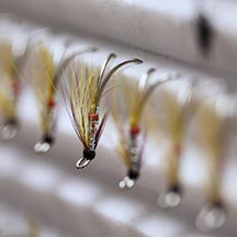 Fly Tying