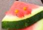 Flybox® NEON15 Non-Translucent' Blob Fritz - Fl Watermelon ** Ltd Edition
