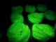 Flybox® Phospho Chenille - Fl Cheese