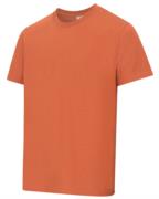Hoggs of Fife Sandwood 2Pk T-Shirts 