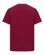 Hoggs of Fife Canonbie Printed T-Shirt