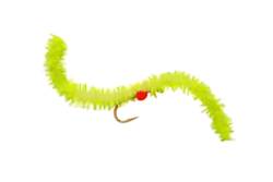 Chewing Gum Worm Zest