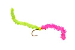 Two Tone Chewing Gum Worm Pink Chartreuse