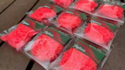 Flybox® Gel Core Fritz - Fl Watermelon ** Limited Edition