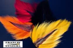 Franc N Snaelda Supreme Bucktail