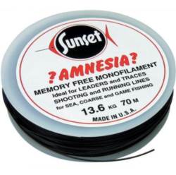 Amnesia Black 40lb 50m Running Line