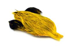 Whiting Brahma Rooster Cape - Badger Dyed Yellow