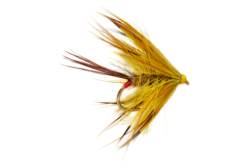 Jackie's Yellow Mayfly