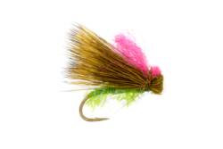 Ronan's Highcountry Green Cicada