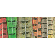 WAPSI Pheasant Tail Centre Feathers (Pair) (PTP)