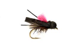 Procter's Flip Flop Pink