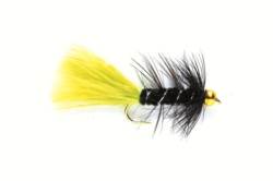 Tadpole Viva Gold
