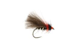 Roza's Bibio Caddis Barbless