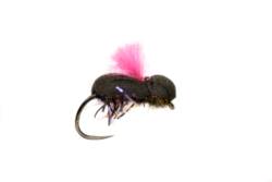 Procter's Target Beetle Barbless Pink