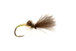 Procter's Pearly Butt Pale Watery Emerger Barbless