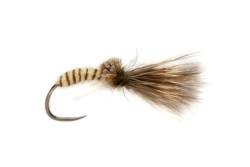 Procter's Caddis Emerger Barbless Cream
