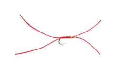Holo App's Bloodworm Nugget Barbless