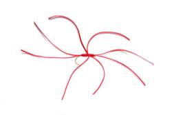Northern Spider Red Barbless