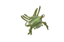 Flexo Olive