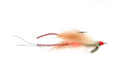 Keel (Avalon) Shrimp