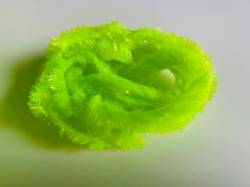 Flybox® Gel Core Fritz - Fl Yellow Glo Green ** Limited Edition