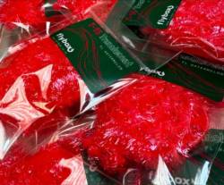 Flybox® T15 Translucent Fritz - Watermelon * Limited Edition