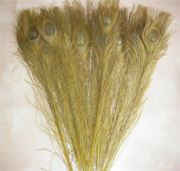 Flybox® Bleached And Dyed Peacock Eyes - Golden Olive x 2