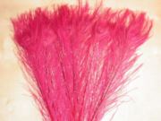 Flybox® Bleached And Dyed Peacock Eyes - Blood Red x 2