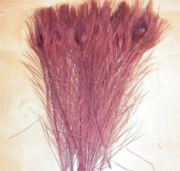 Flybox® Bleached And Dyed Peacock Eyes - Claret x 2