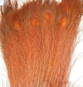 Flybox® Bleached And Dyed Peacock Eyes - Ginger x 2