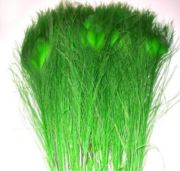 Flybox® Bleached And Dyed Peacock Eyes - Fl Chartreuse x 2