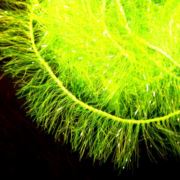 Flybox® Medium Crystal Hackle 10mm - Fl Yellow