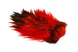 Whiting Brahma Rooster Saddle Cape - Badger Dyed Orange