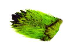 Whiting Brahma Rooster Saddle Cape - Badger Dyed Fl Green Chartreuse