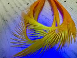 Irish Fly Supplies Goose Biot - WOIGO