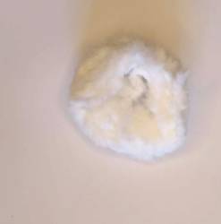 Celtic Blob Company® GLO EGG-IT - Snow White