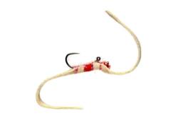 Balanced Shammy Rainbow Flesh