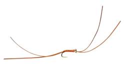 Bung Worm Dark Olive