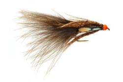 Roza Clearwater Darling