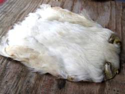 Irish Fly Supplies Domestic Hen Neck - Natural White