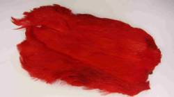 Irish Fly Supplies Domestic Hen Neck - Red