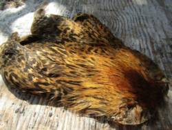 Irish Fly Supplies Domestic Hen Neck - Greenwells