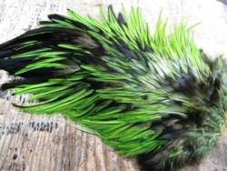 Irish Fly Supplies Domestic Cock Saddle - Green Highlander