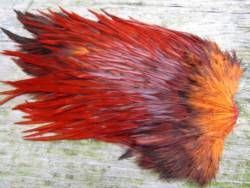 Irish Fly Supplies Domestic Cock Saddle - Fiery Brown