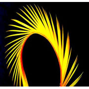 Flybox® UV Reactive Goose Biots 4 pc - Fl Sunburst