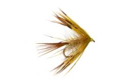 Jackie's Pearly Yellow Mayfly
