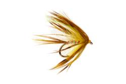 Jackie's International Mayfly