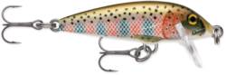 Rapala Countdown 5cm RT - Rainbow Trout 101088