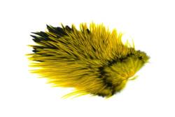 Whiting Brahma Rooster Saddle Cape - Badger Dyed Yellow