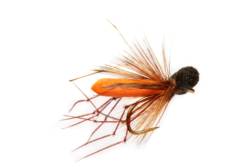 Rob's Booby Daddy Orange